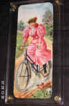 MechPinkBicycle.jpg (566491 bytes)