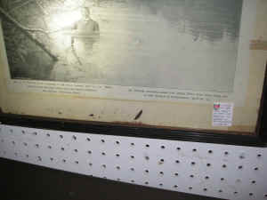 pict7680.jpg (158231 bytes)